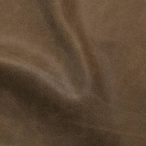 Cortina Leathers' Rodeo in the color Cactus