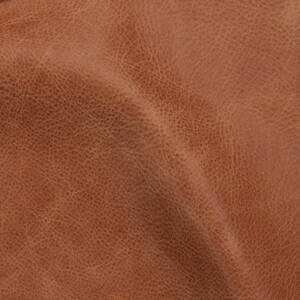 Cortina Leathers' Rodeo in the color Bridle