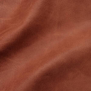 Cortina Leathers' Rodeo in the color Lasso