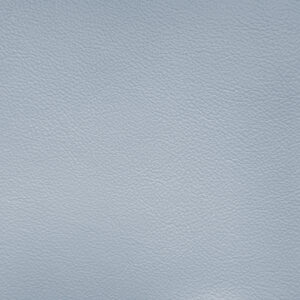 Cortina Leathers "Caprone" swatch in the color Its a boy