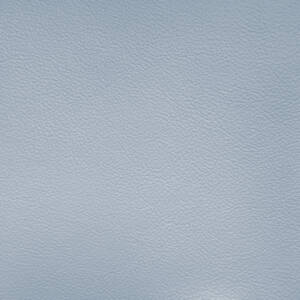 Cortina Leathers "Caprone" swatch in the color Its a boy