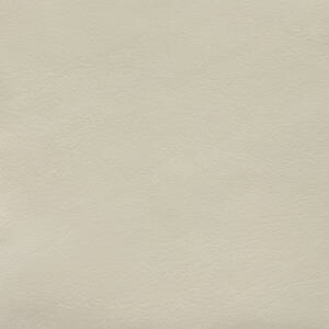 Cortina Leathers "Caprone" swatch in the color Stucco