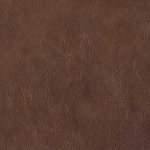 Cortina Leathers "Florence" swatch in the color Basilica