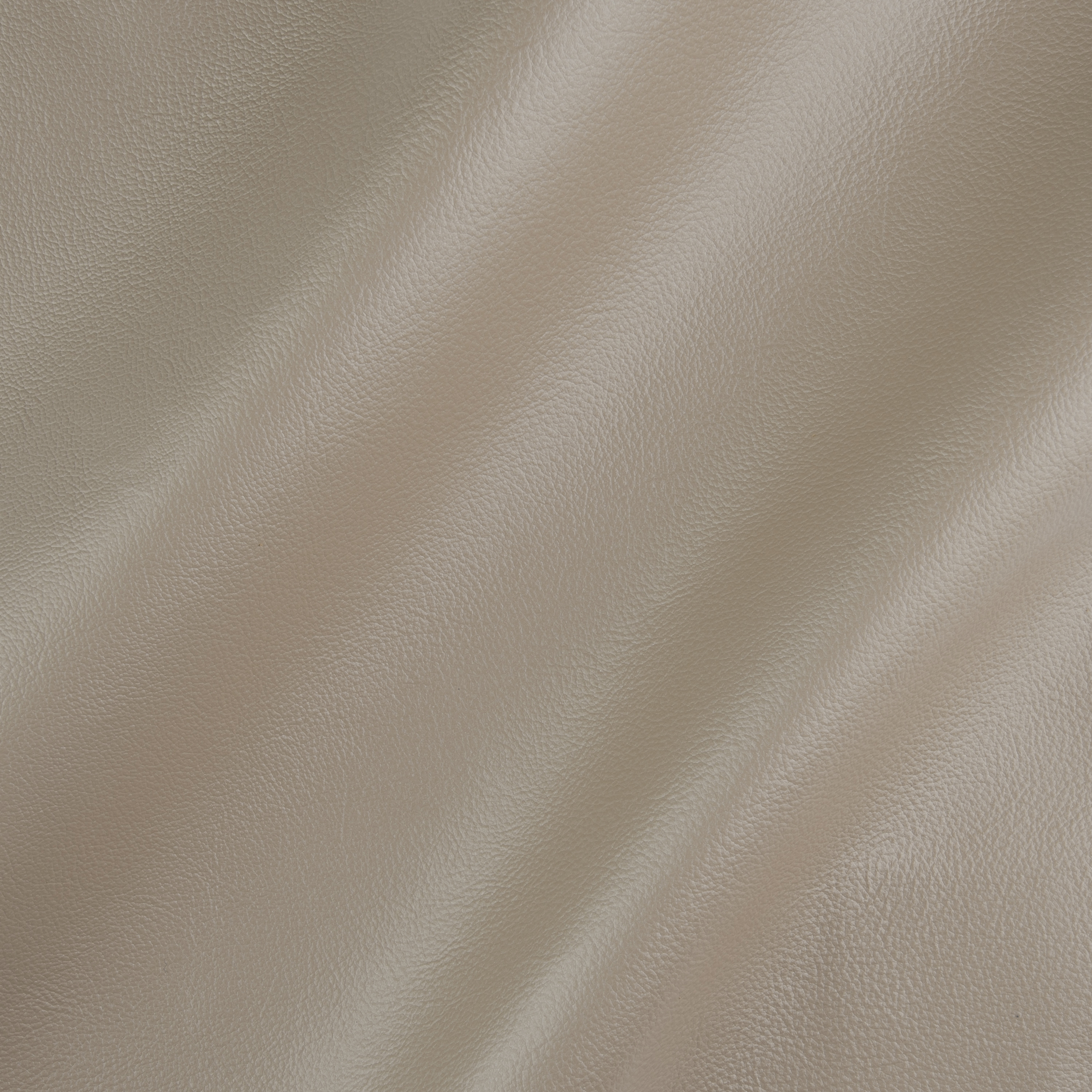 Surf City - Cortina Leathers