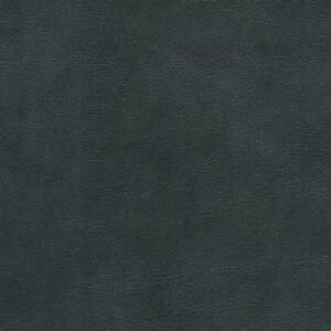 Cortina Leathers "Brava" swatch in the color Antille