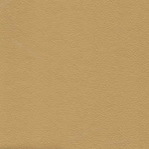 Cortina Leathers "Catalina" swatch in the color Empire Gold