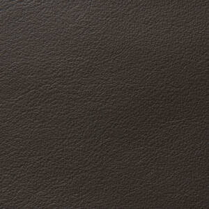 Cortina Leathers Crypton infused Harmony flint