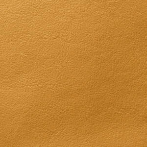 Cortina Leathers Crypton infused Harmony gold mine