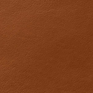 Cortina Leathers Crypton infused Harmony cinnamon