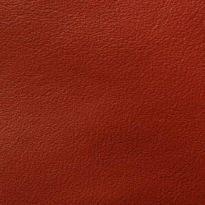 Cortina Leathers Crypton infused Harmony cayenne