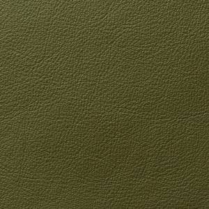 Cortina Leathers Crypton infused Harmony Leaf