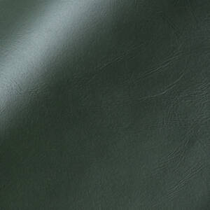 Cortina Leathers Issimo in the color hunter