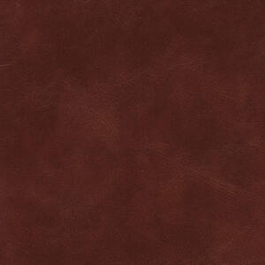 Cortina Leathers' Rustico in the color Selva