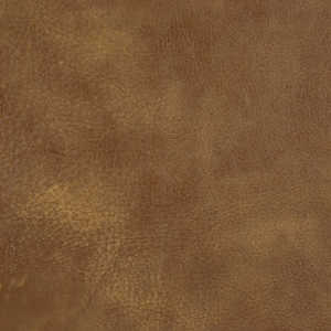 Cortina Leathers' Tribe in the color Sequoia
