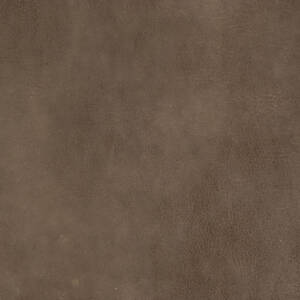 Cortina Leathers' Tribe in the color Barley