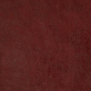 Cortina Leathers' Tribe in the color Ibisco