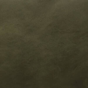 Cortina Leathers "Cafe" swatch in the color Olive