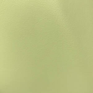 Cortina Leathers "Caprone" swatch in the color Sublime