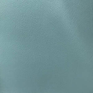 Cortina Leathers "Caprone" swatch in the color Laguna