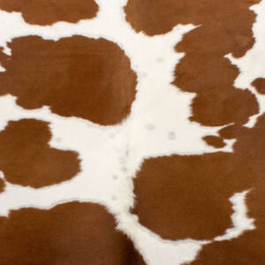 Cortina Leathers "Cavallo" hide swatch in the colors brown and white