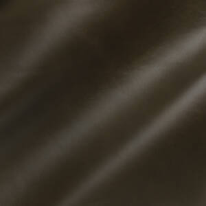 Cortina Leathers "Chiaro" swatch in the color Forest