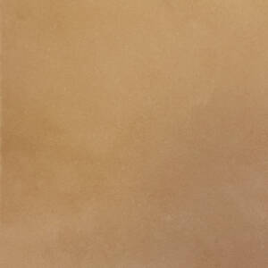 Santa Fe Strap Golden