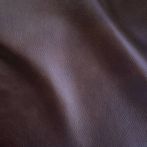 Cuyahoga 9958 Buckeye