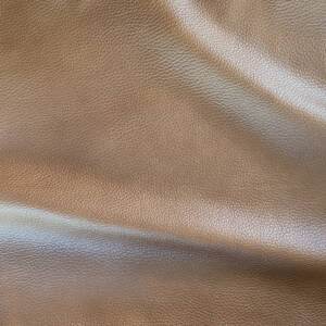 Ccuyahoga 9979 Driftwood