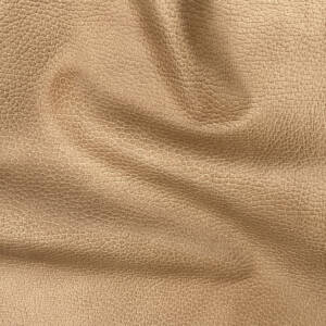 Cuyahoga Cedar Point