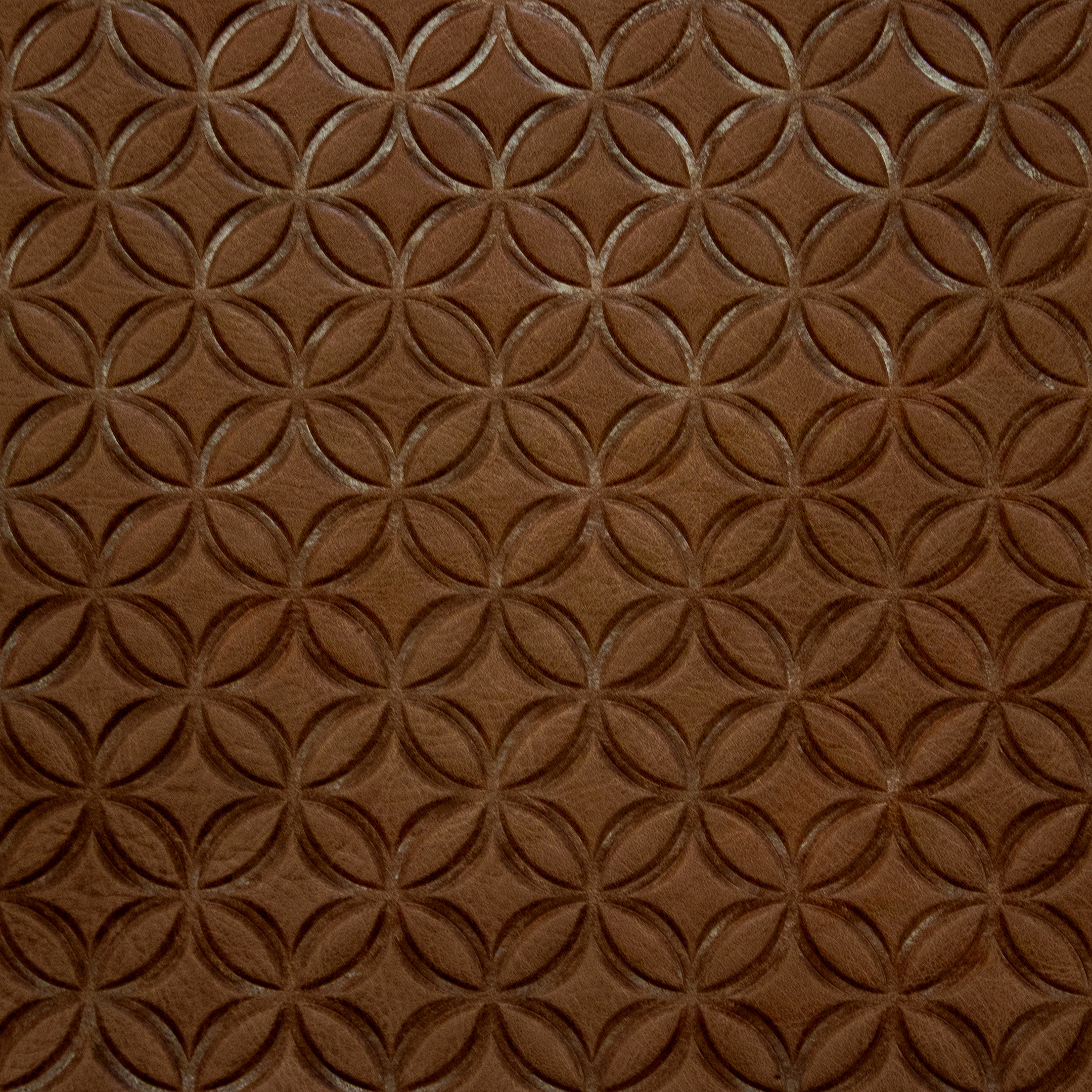 Cortina Emboss Spanish Tile on Sundance Burbon