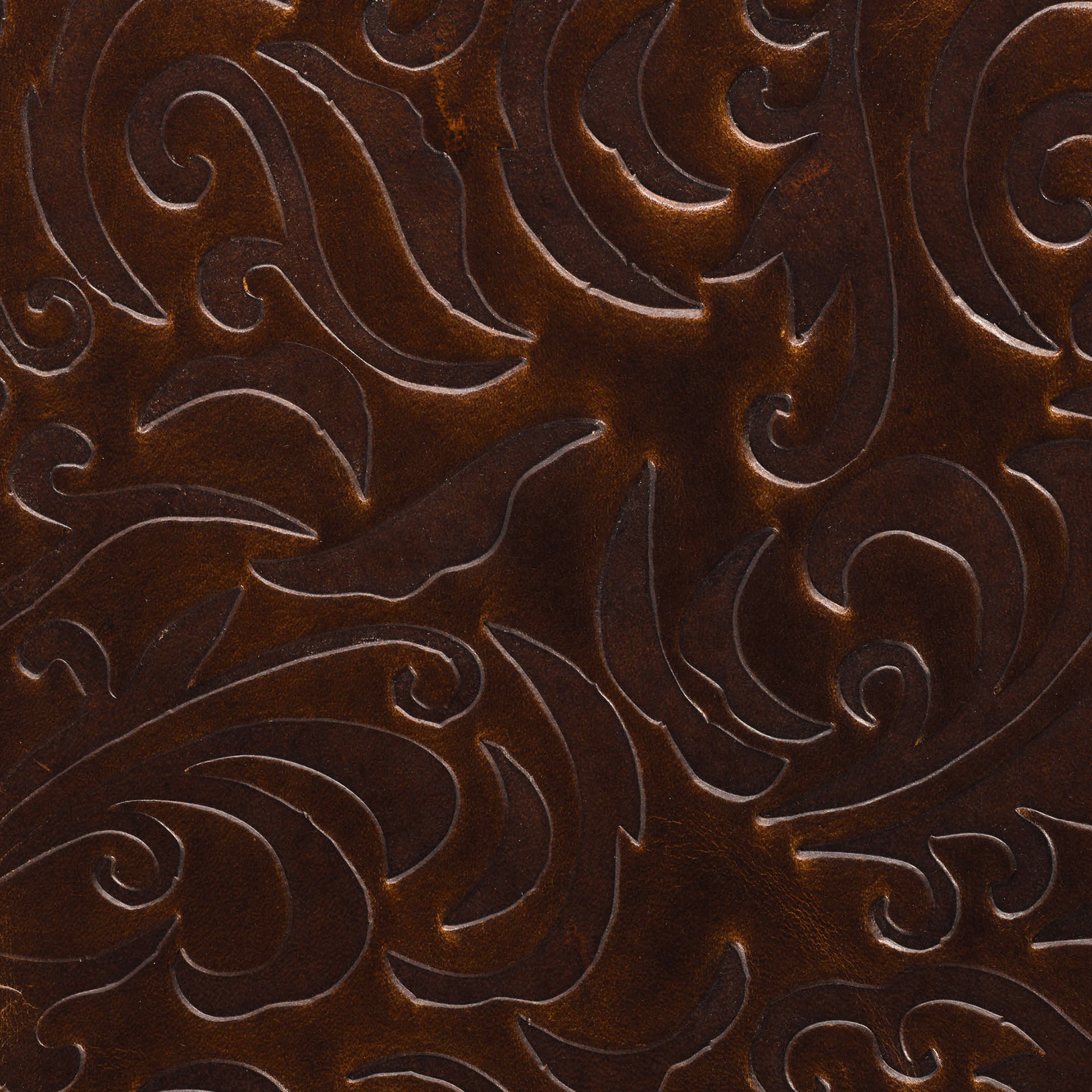 Cortina Emboss Filigree on Sundance Cigar