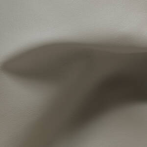 Cortina Leathers Azzurro Disco is a medium greige with slight green undertones